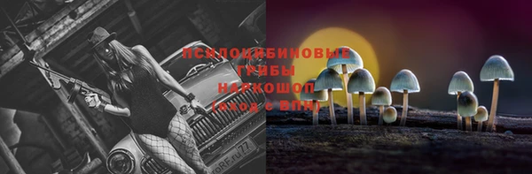 ALPHA PVP Белокуриха